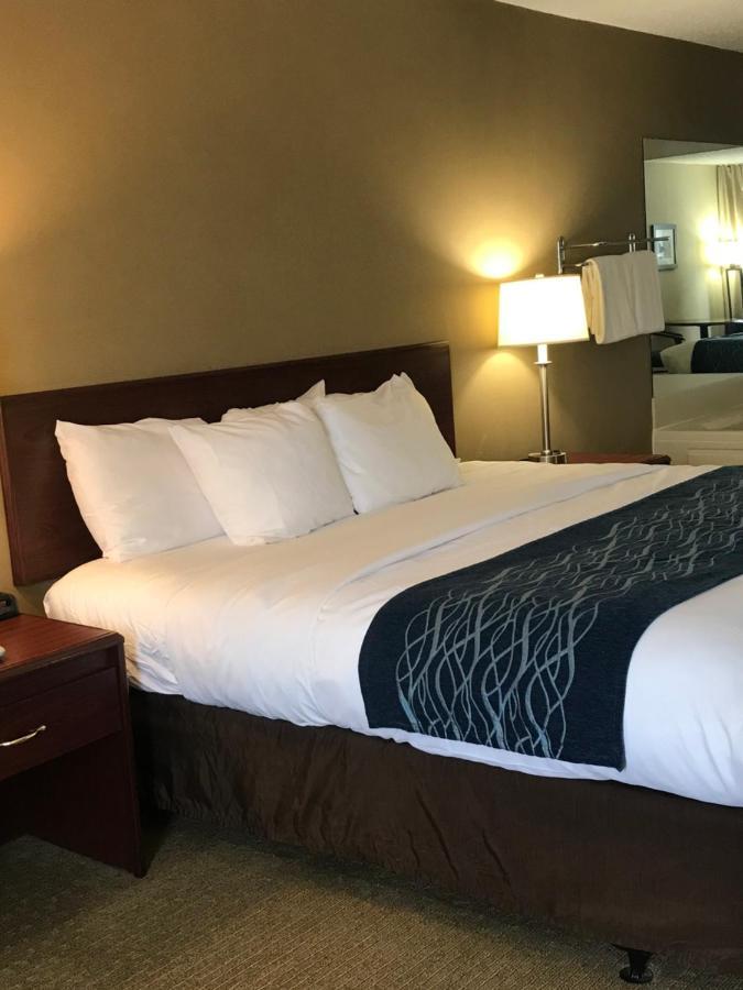 Comfort Inn Cambridge Exteriör bild