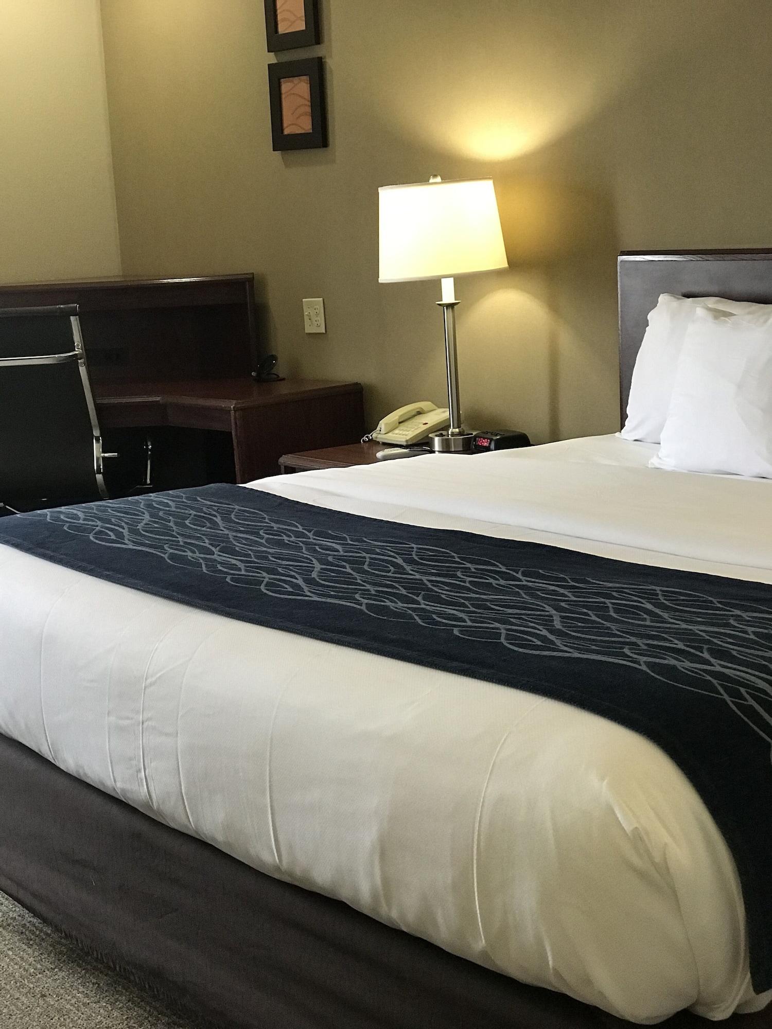Comfort Inn Cambridge Exteriör bild